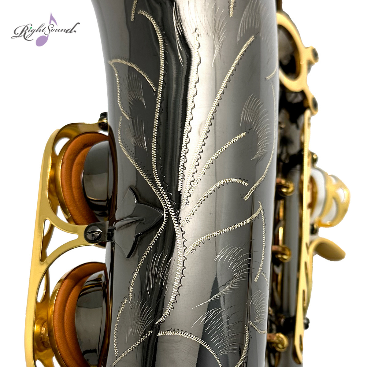 Black Nickel Plated Alto Saxophone Factory Direct Sale with Cheap Price Sax With a Carved Pattern