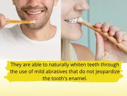 Best factory toothpaste natural miswak herbal repair and protect whitening toothpaste new.