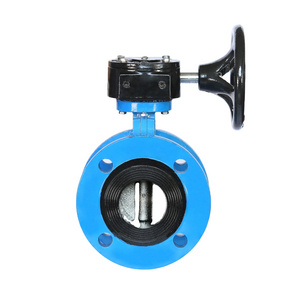 Eccentric double flanged butterfly valve