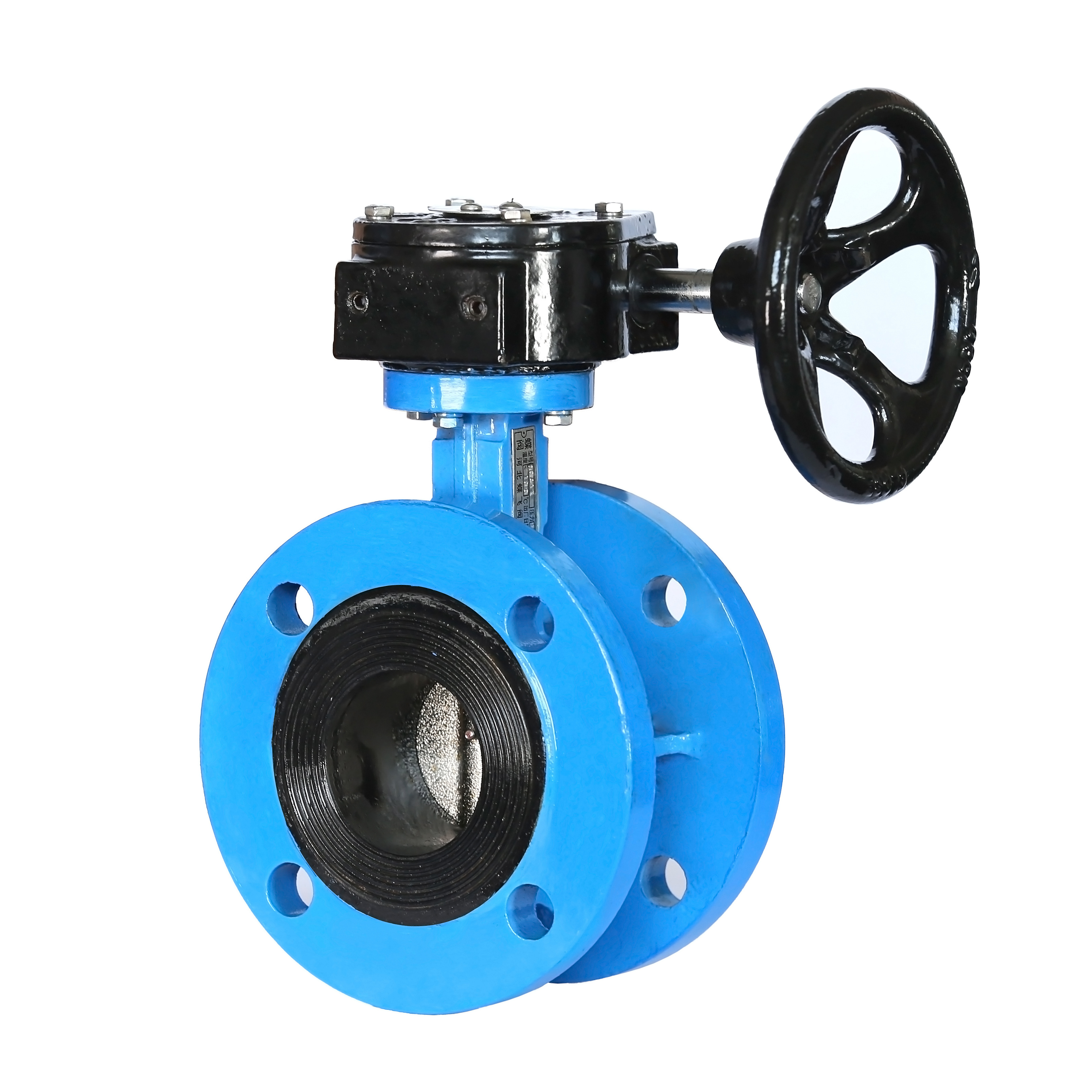 Eccentric double flanged butterfly valve