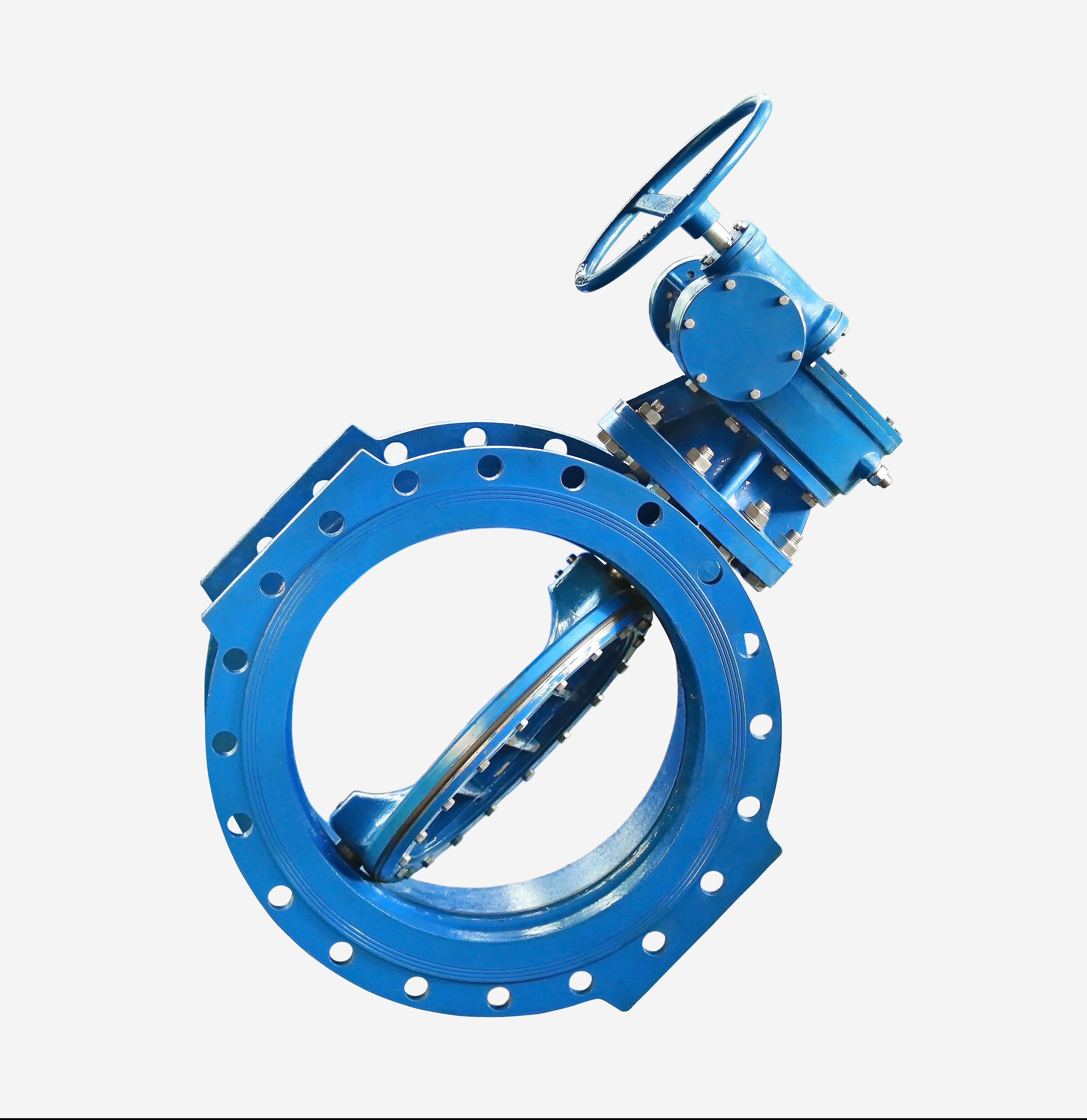 Eccentric double flanged butterfly valve