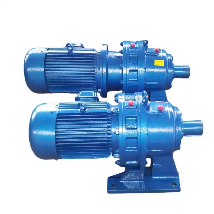 Guomao pinwheel cycloidal reducer BWD/BLD horizontal and vertical cycloid gearbox