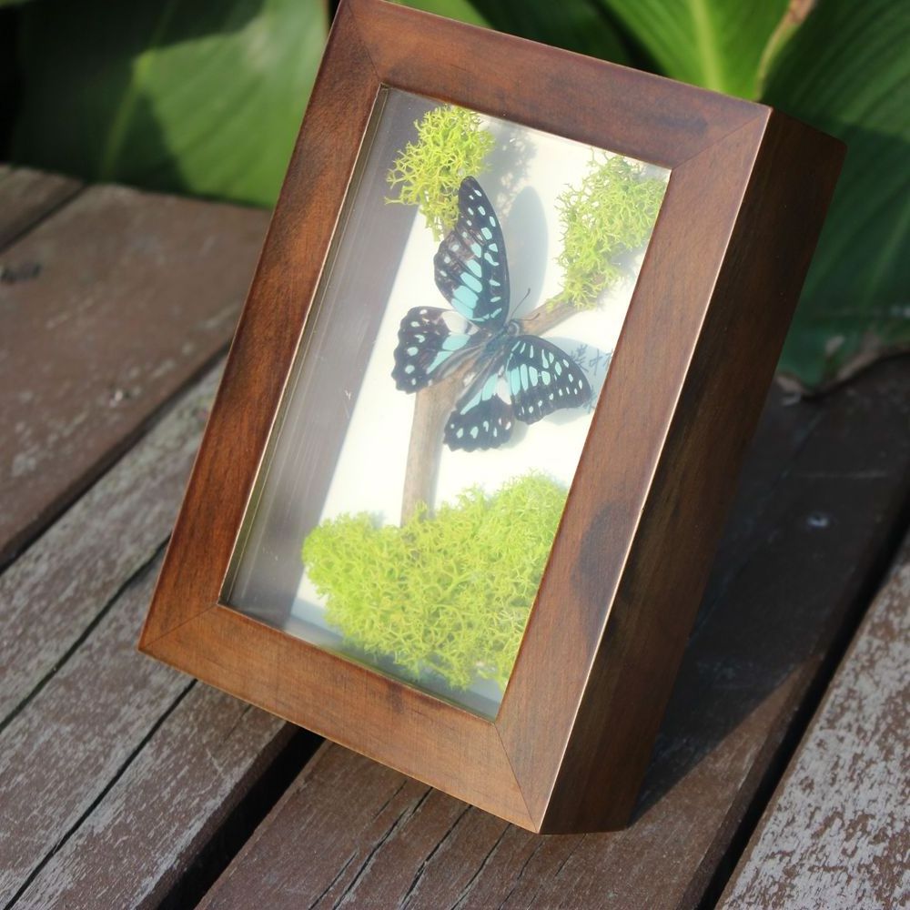 Wholesale Custom Wood Australia Deep Square Shadow Box Frames bulk 3d white black photo picture frames