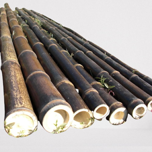 Raw Bamboo Pole Natural Black, Nigra Bamboo Canes, Black Bamboo Poles for Decoration