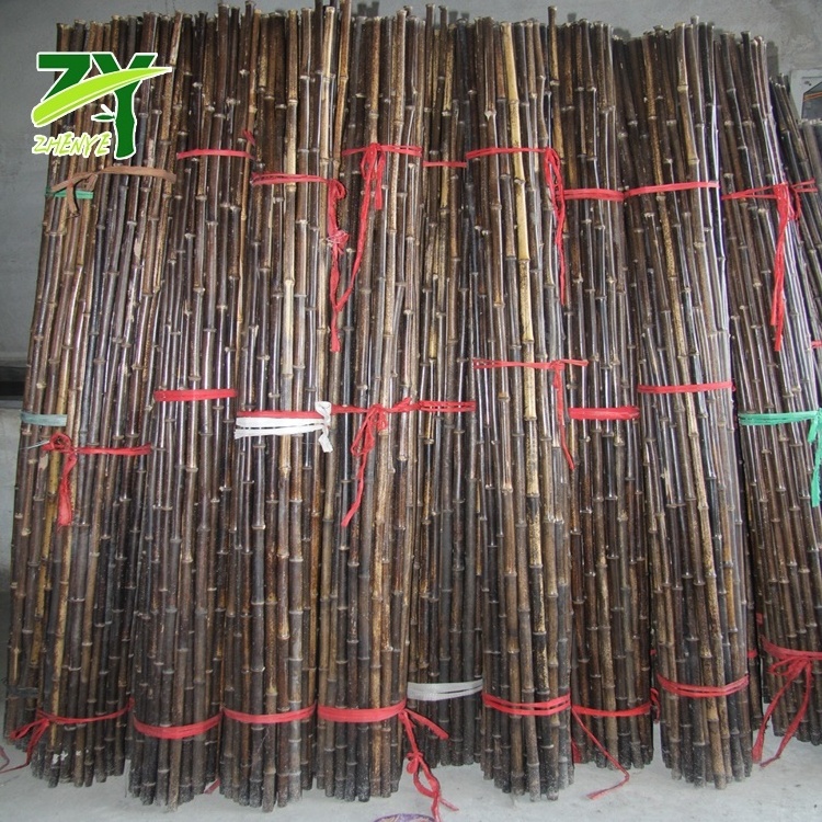 Raw Bamboo Pole Natural Black, Nigra Bamboo Canes, Black Bamboo Poles for Decoration