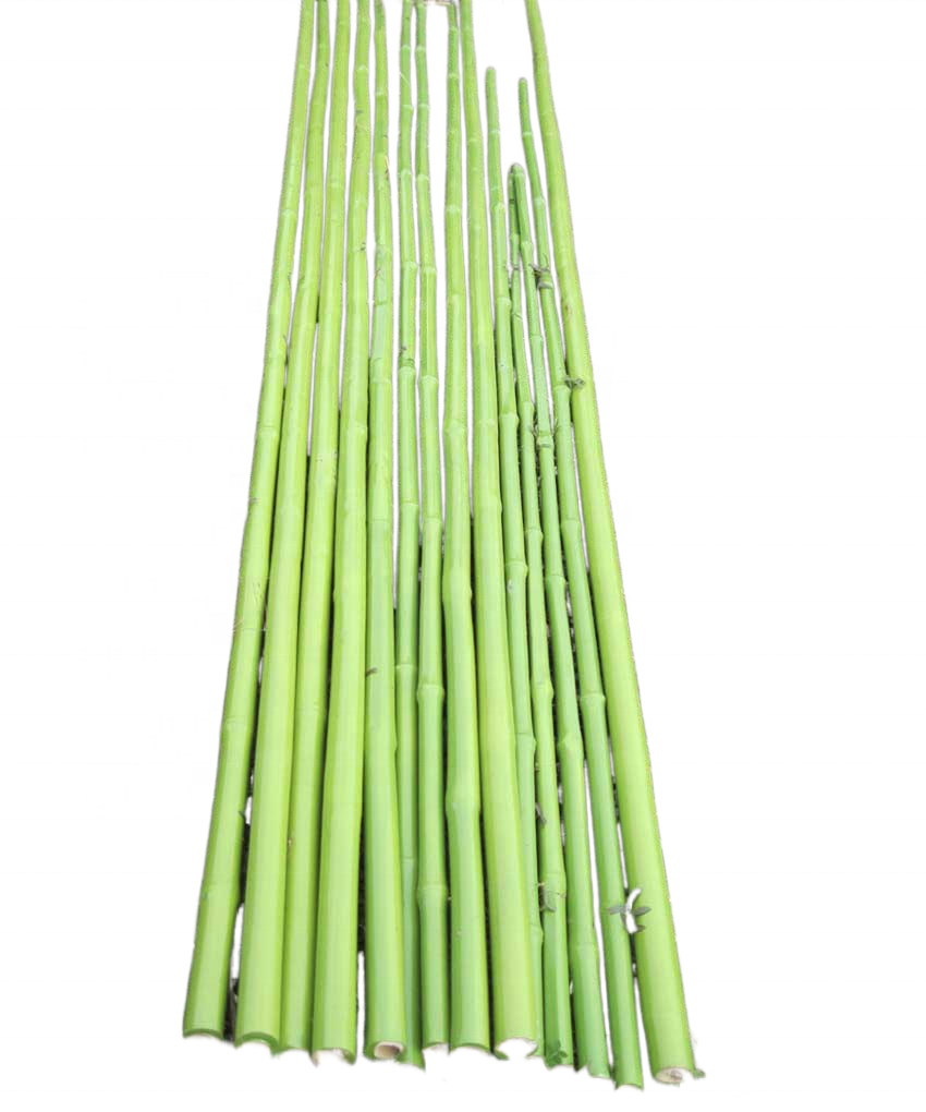 Bamboo Raw Materials, PVC Coat Bamboo Poles