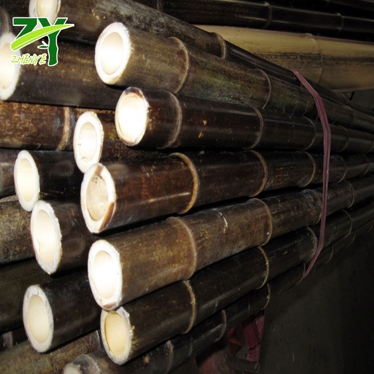 Raw Bamboo Pole Natural Black, Nigra Bamboo Canes, Black Bamboo Poles for Decoration