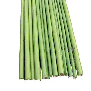 Bamboo Raw Materials, PVC Coat Bamboo Poles