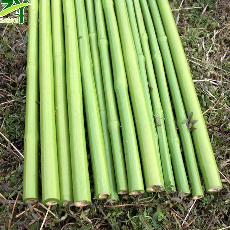 Bamboo Raw Materials, PVC Coat Bamboo Poles