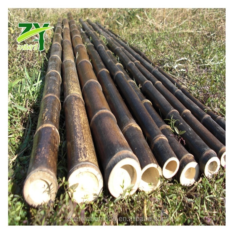 Raw Bamboo Pole Natural Black, Nigra Bamboo Canes, Black Bamboo Poles for Decoration