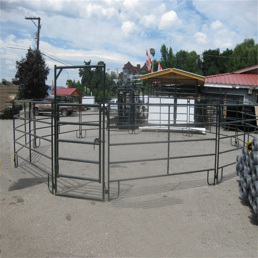 Best Selling 10' Round Pen Horse Corral Panels Livestock Cattle Panels to USA