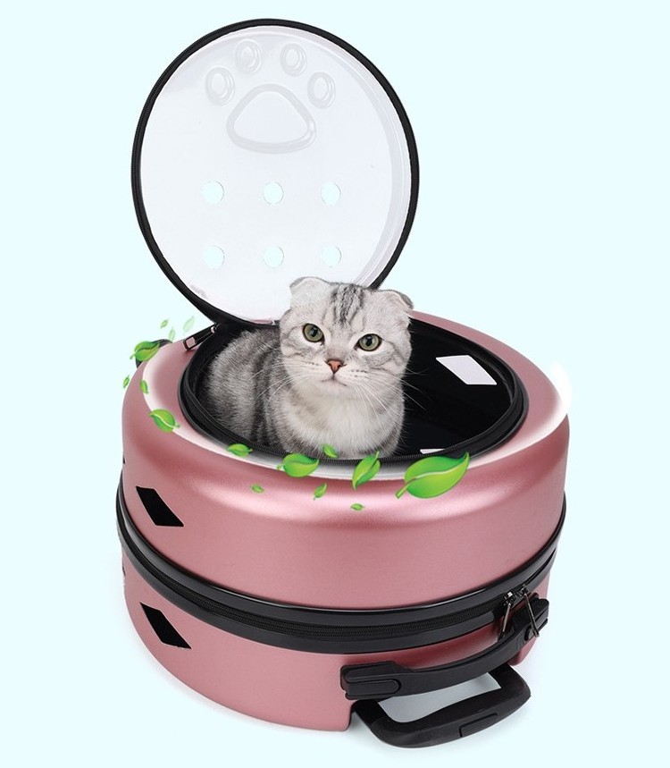 Airline approved pet travel carrier box wheeled dog cat stroller pet trolley bag outdoor portable transparent cat pet suitcase