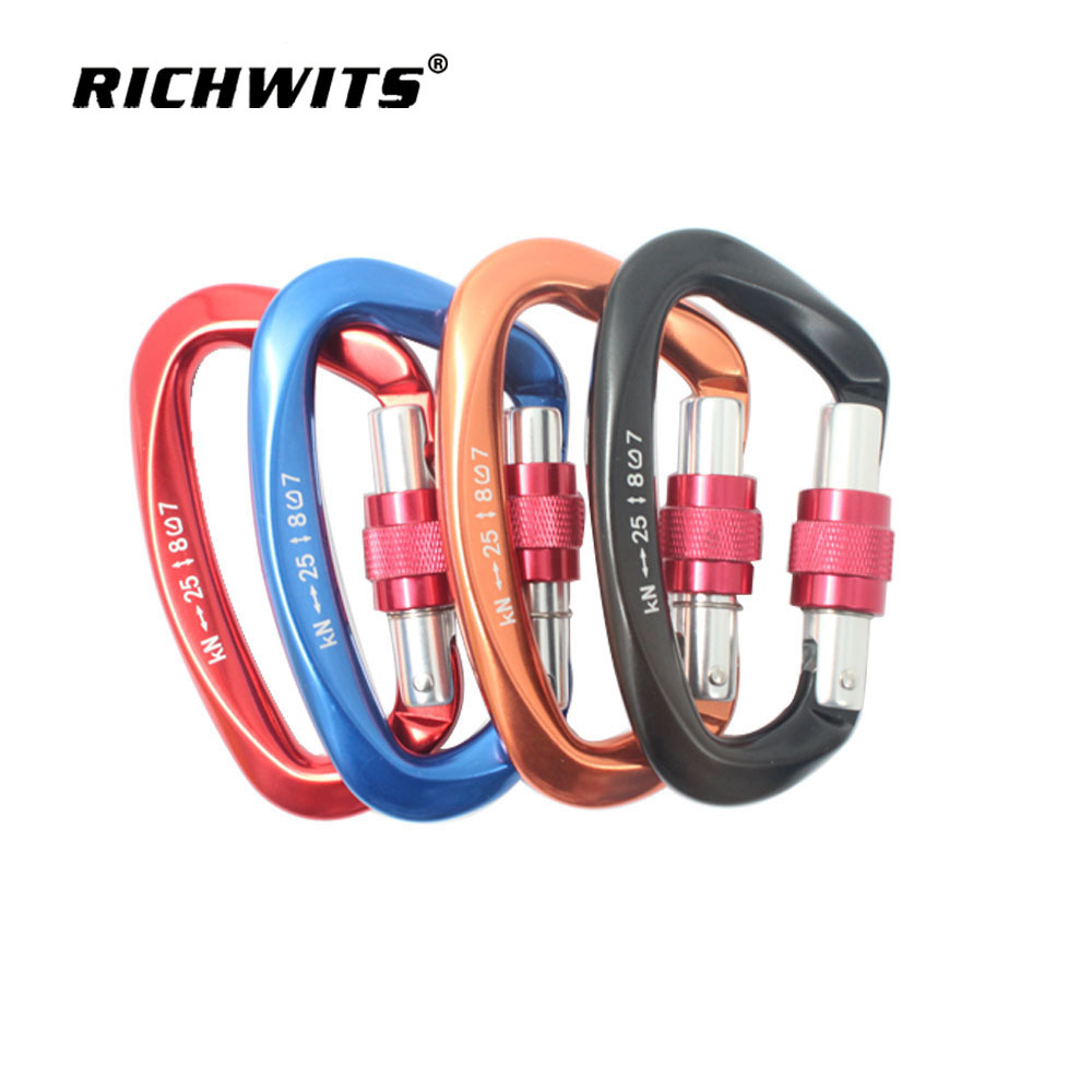 Climbing Carabiner 25KN D Shape Safety Lock Professional Climbing Equipment Security Safety Lock Outdoor Climbing Accessories