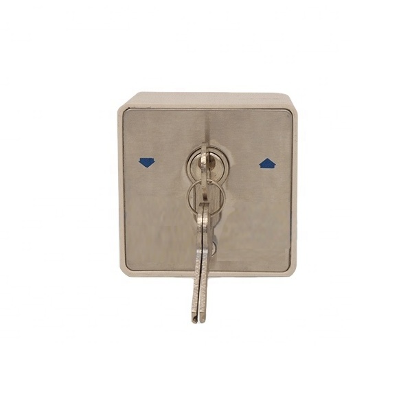 Waterproof 2 position 3 position European type roller door shutter zinc alloy key momentary switch