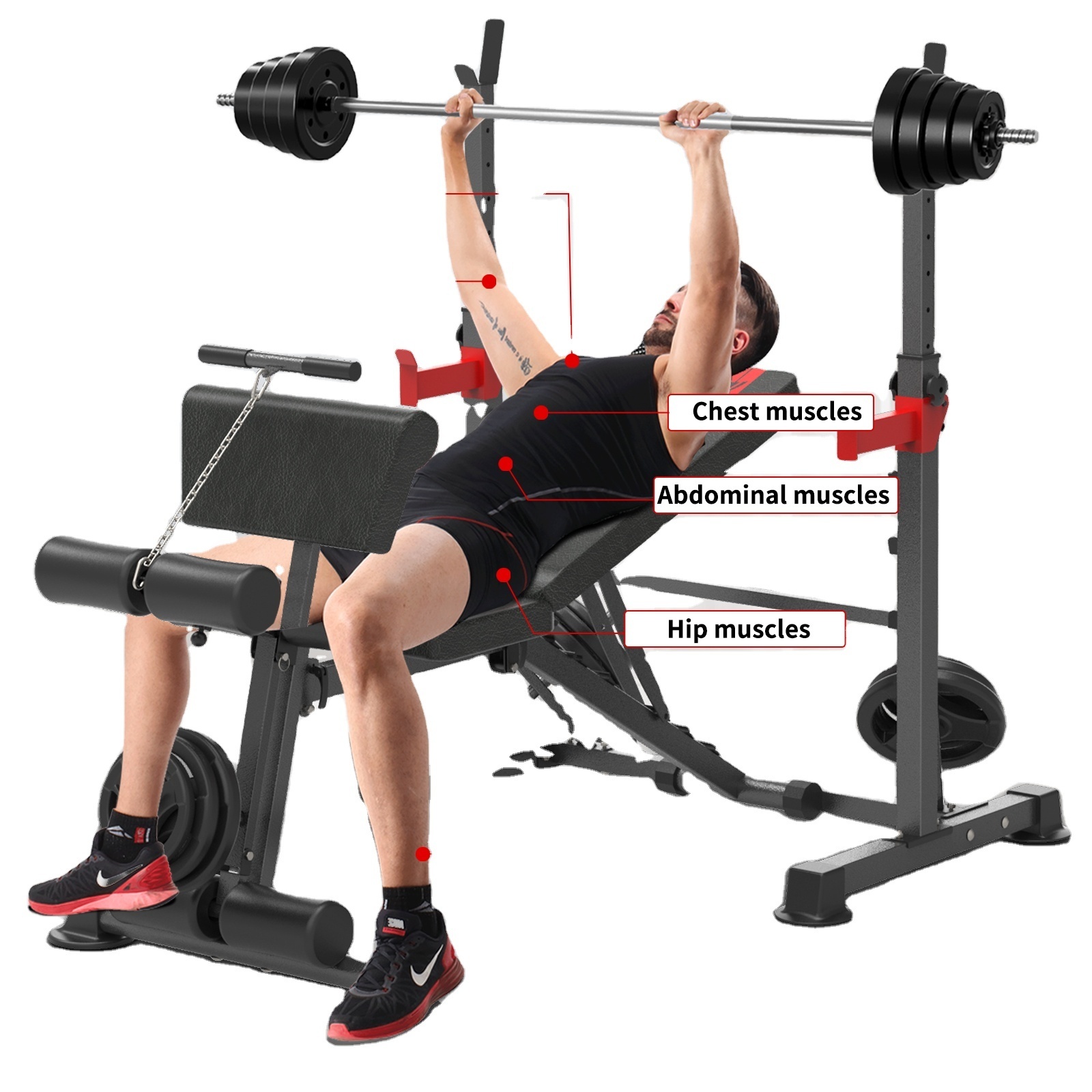 Wellshow Sport Adjustable Squat Rack With Weightlifting Bench Press Barbell Bench Rack Dumbbell Weight Bench