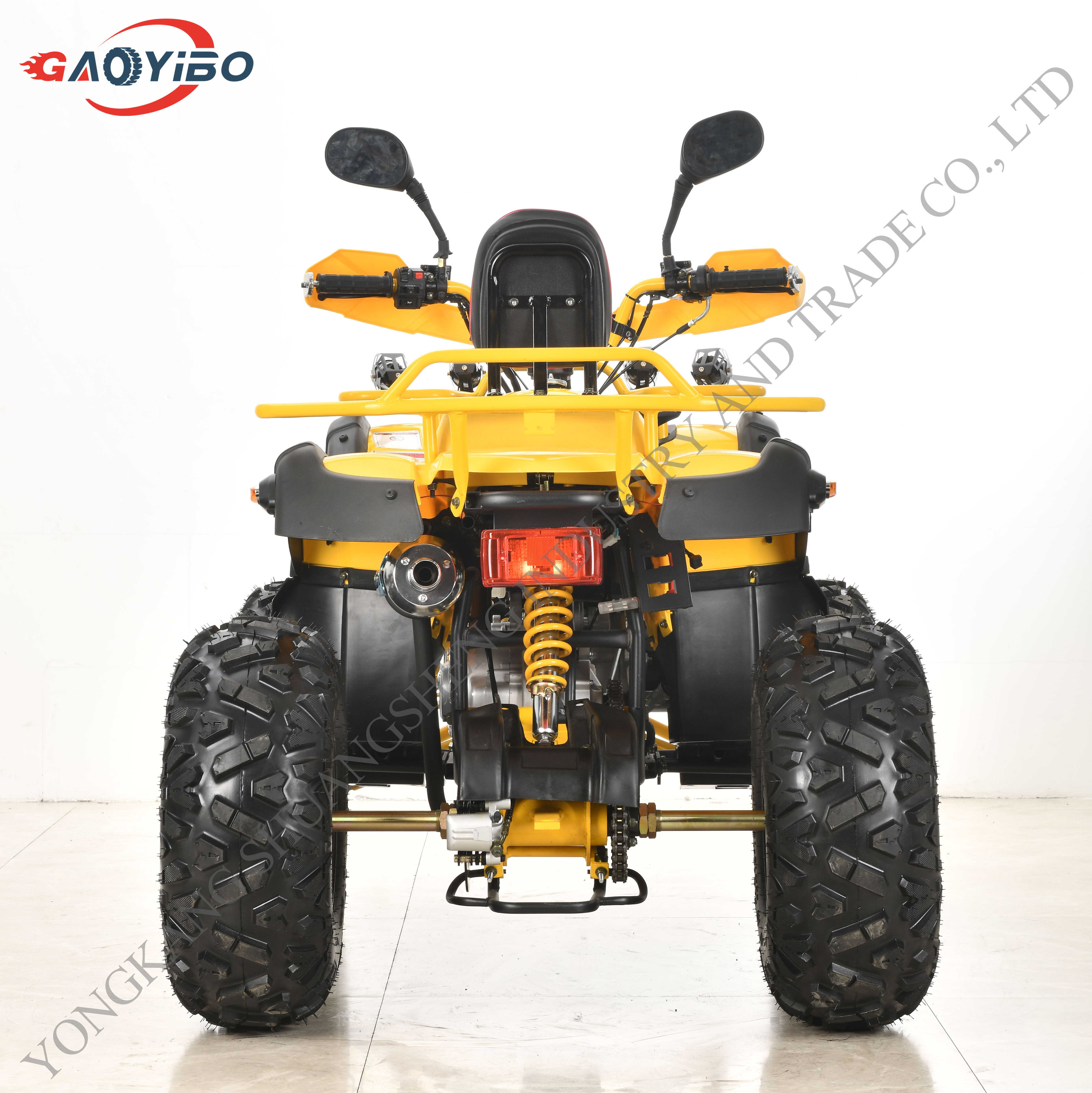 Hot Sell 150cc atv 4 Wheelers Electric ATV Quad For Adult