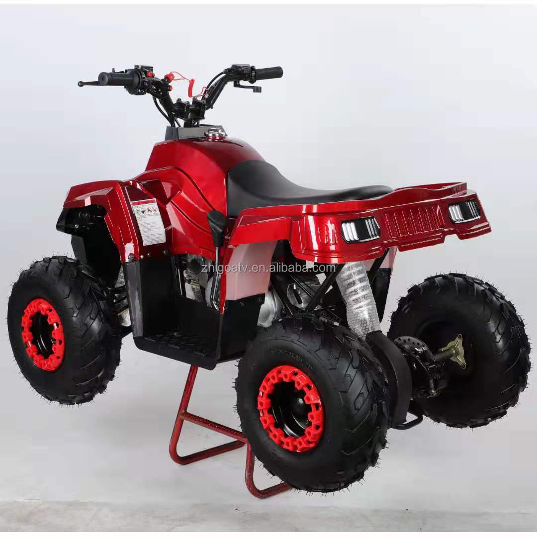 Kids Gas Powered Atv 70cc/49cc 2 Stroke Mini Atv Bike