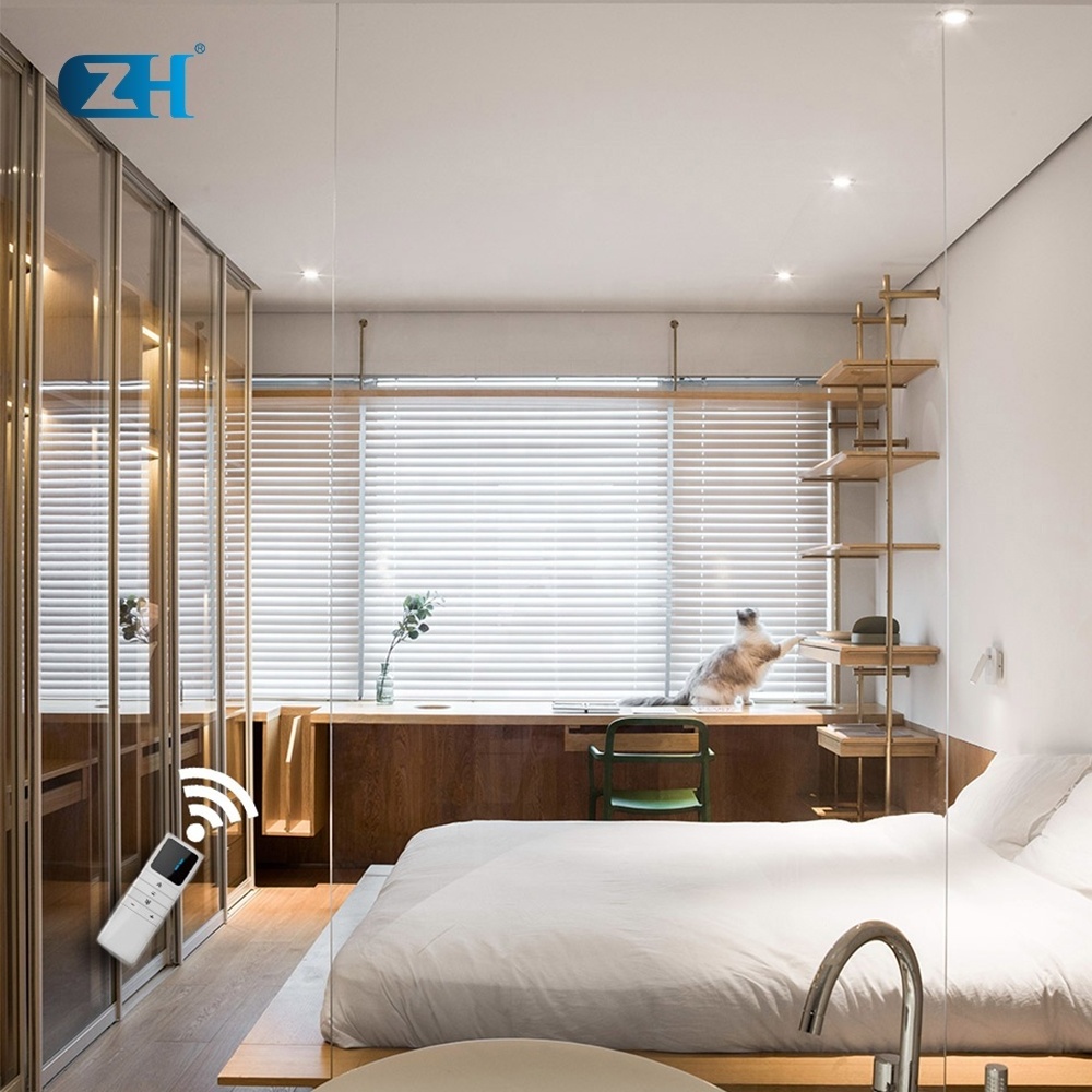 ZH Smart Home 24mm Tubular Blind Motor for Electric Roman Blind, Honeycomb Blind Motor Smart