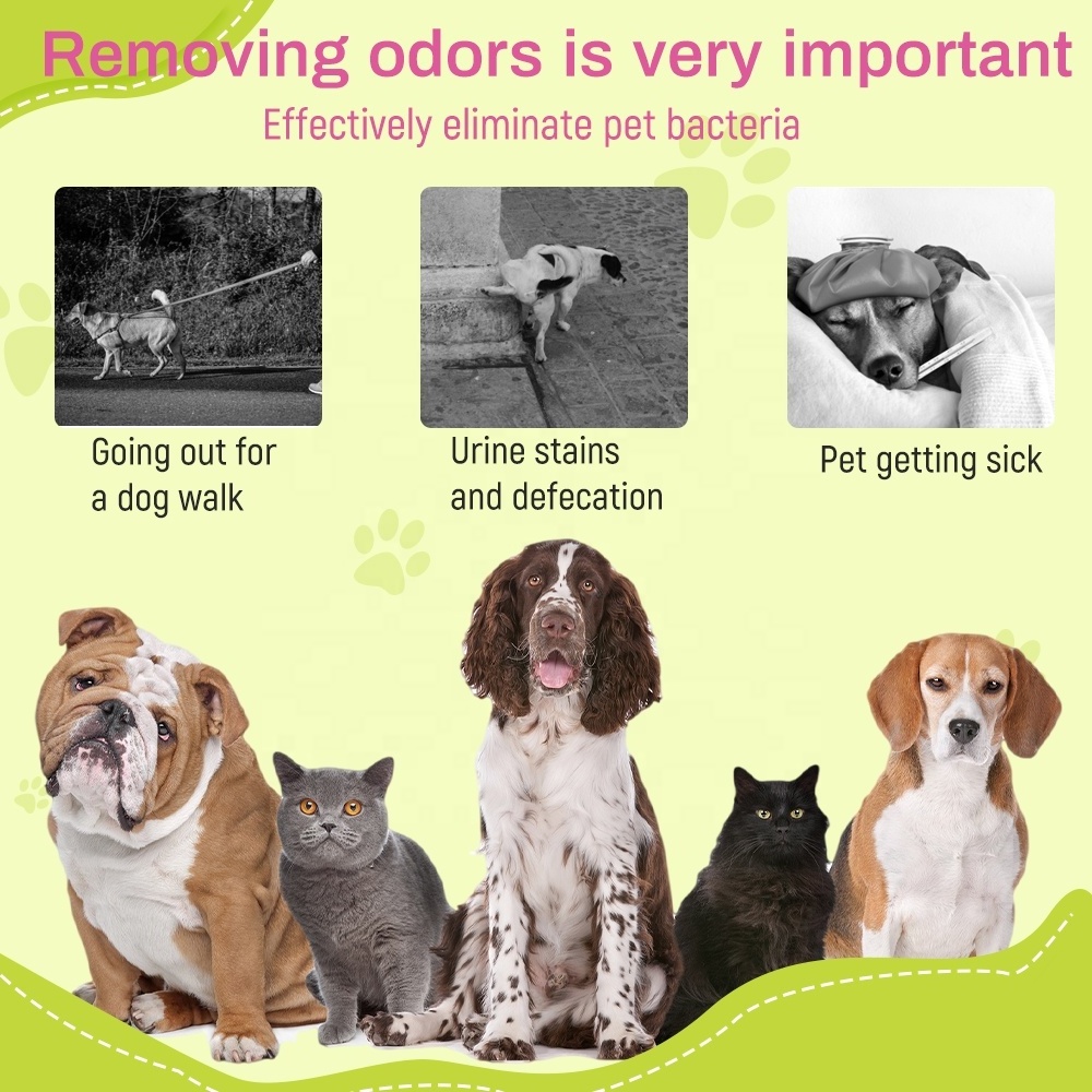 OBM/OEM/ODM Free design Custom LOGO Pet Odor Eliminator For Dog And Cat Urine dog perfume spray dog deodorant spray