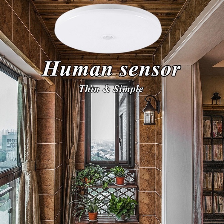 Surface Mounted AC 220V Round Ceiling Lamp Smart Home Lights 12W 18W PIR Motion Sensor LED Night Light