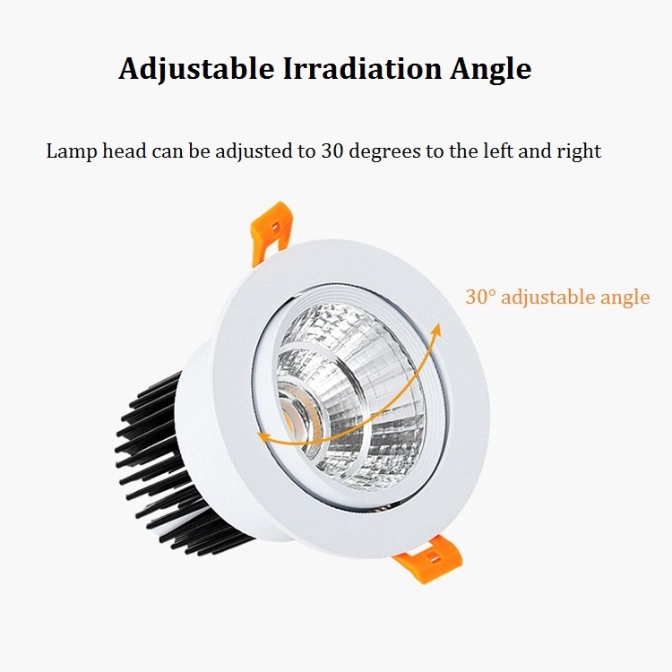 Wholesale Indoor Lighting 20W Led Spot Light COB Down Lamp Ceiling Recessed Spotlight for Home Painting Exhibition