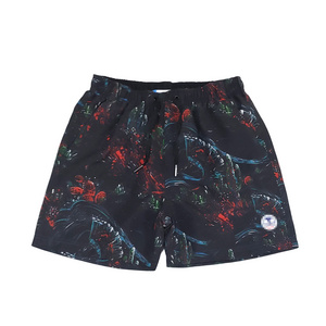 Color Changing Beach Shorts Men Private Label Swimwear Beach Pants Shorts Swim Surfing Board Shorts