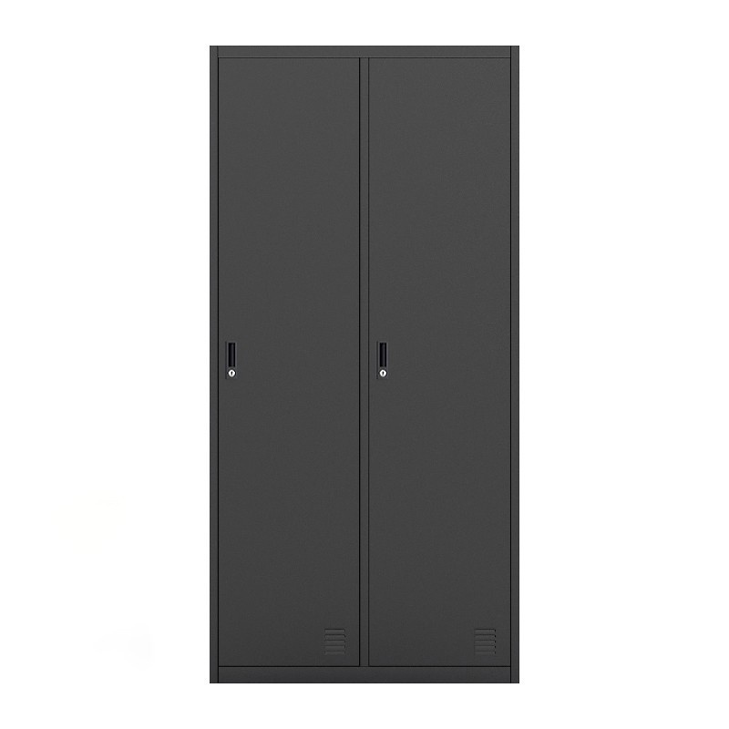 Luoyang Wise iron office furniture 2 doors clothing steel locker and wardrobe