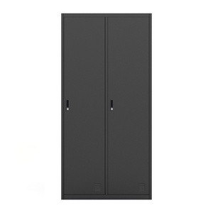 Luoyang Wise iron office furniture 2 doors clothing steel locker and wardrobe