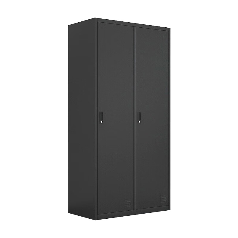 Luoyang Wise iron office furniture 2 doors clothing steel locker and wardrobe