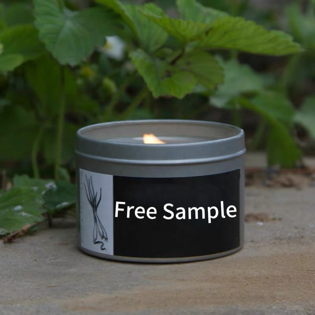 Handmade Scents Candles Tin Set Mosquito Repellant Scented Citronella Candles Outdoor And In