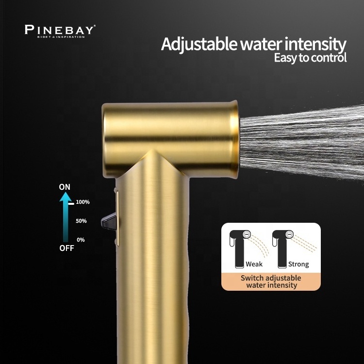 PINEBAY New Trend ABS Gold Magnetic Circular Handheld Bidet Sprayer Kit Bathroom Faucet Shower Round Toilet Shattaf for Woman