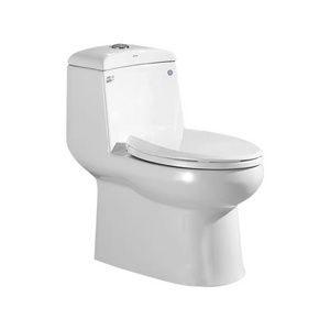 ceramic silent and individuality design toilet wall-mounted siphon Jet Flushing toilet  hot sale  for bathroom