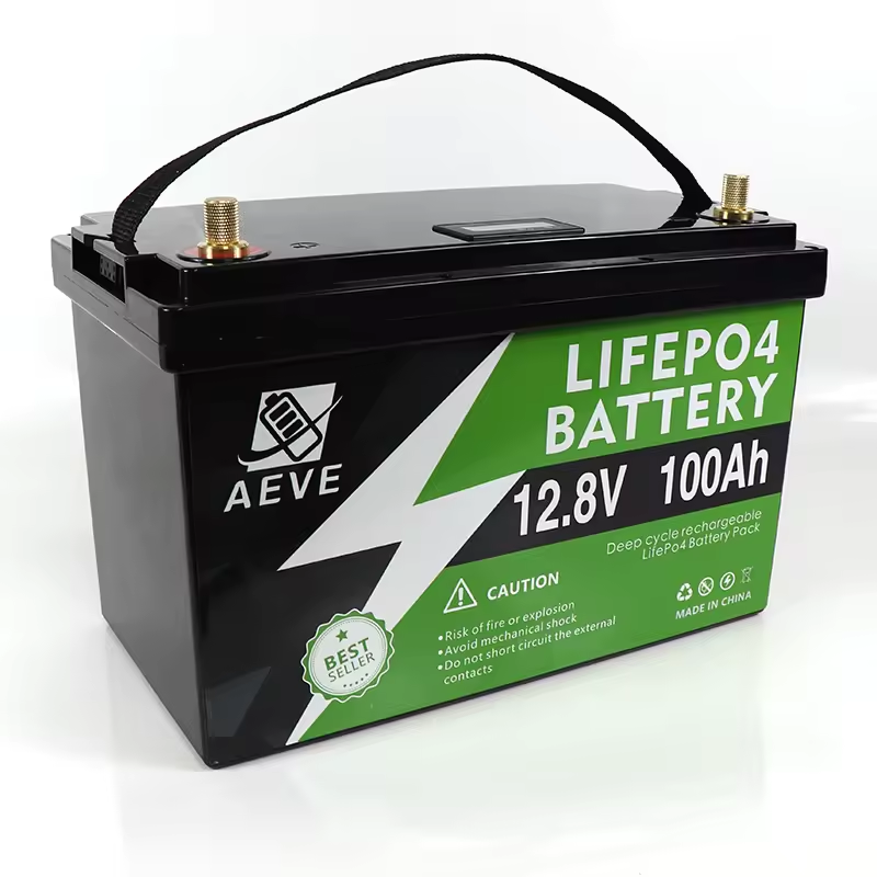 12V/24V/48v 100ah 200ah 300ah lifepo4 battery Cell lithium ion battery Packs with battery accessories for Forklift Smart