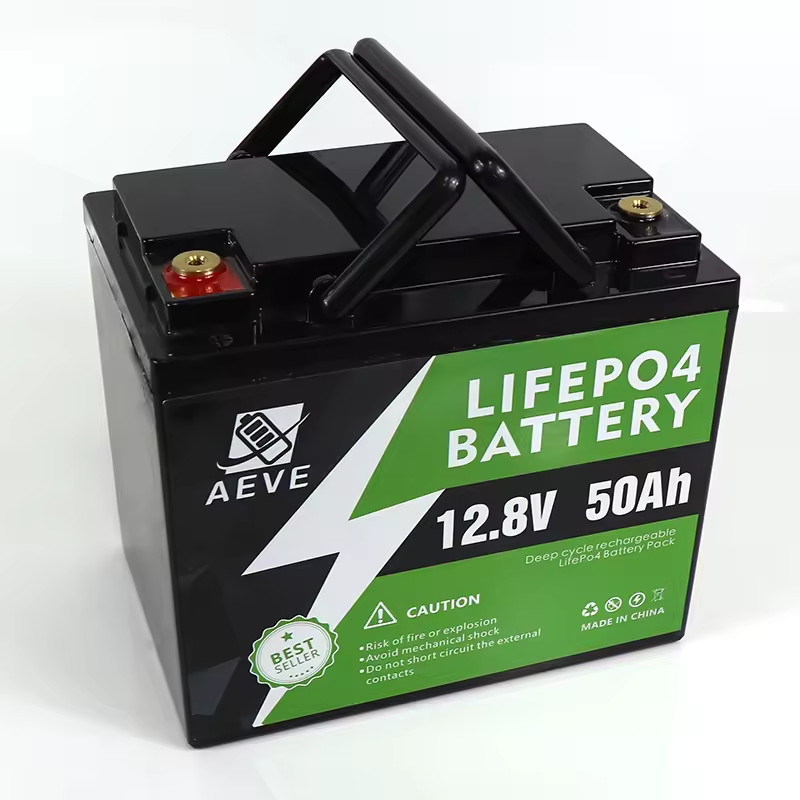 12V/24V/48v 100ah 200ah 300ah lifepo4 battery Cell lithium ion battery Packs with battery accessories for Forklift Smart