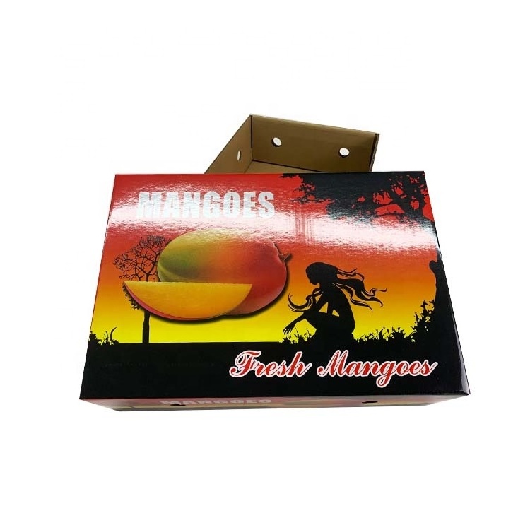 Customized logo mango fruit packaging corrugated paper box with lid