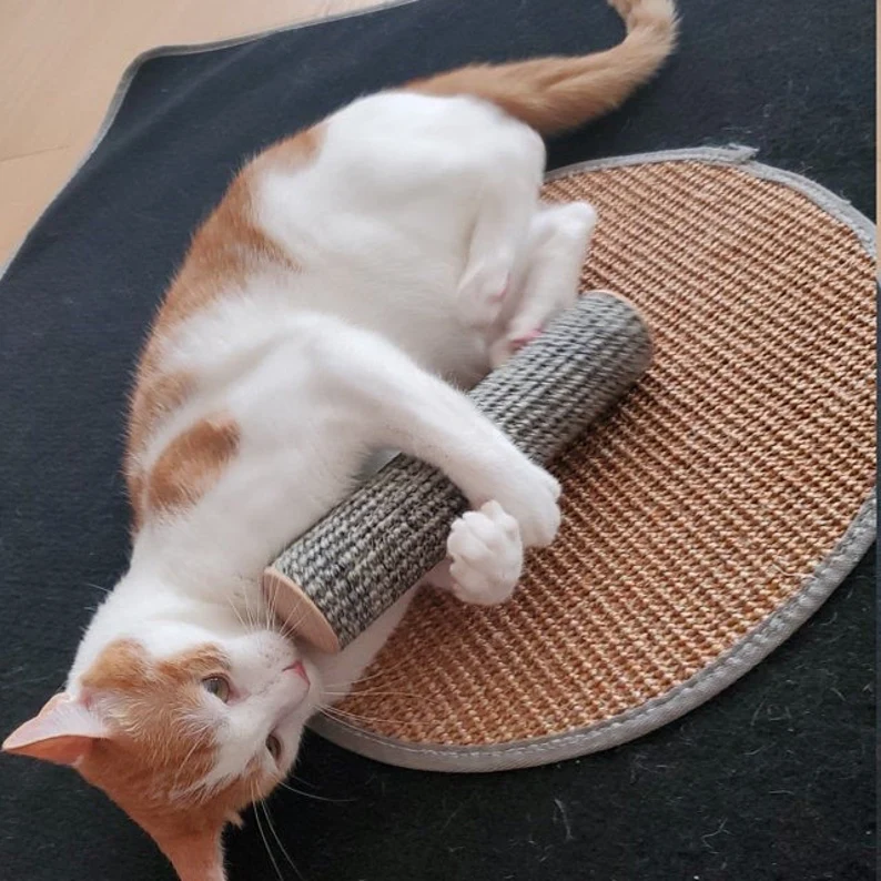 Organic Catnip Cat Scratcher Toy with Organic Catnip