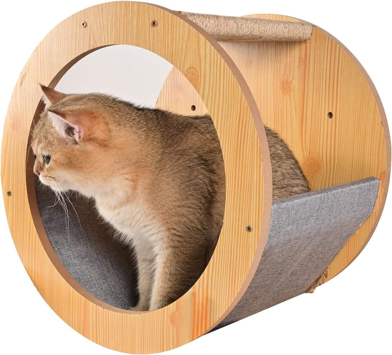 Multifunctional Comfort Indoor Round Cats Climbing Shelves Perches Activity  Hammock Wood Cat Wall Furniture