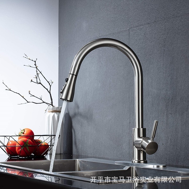 Sink Sprayer Brushed Nickel Stainless Steel Pull-Out l kitchen faucet 2 button sprayer Long Neck Sink Mixer Tap