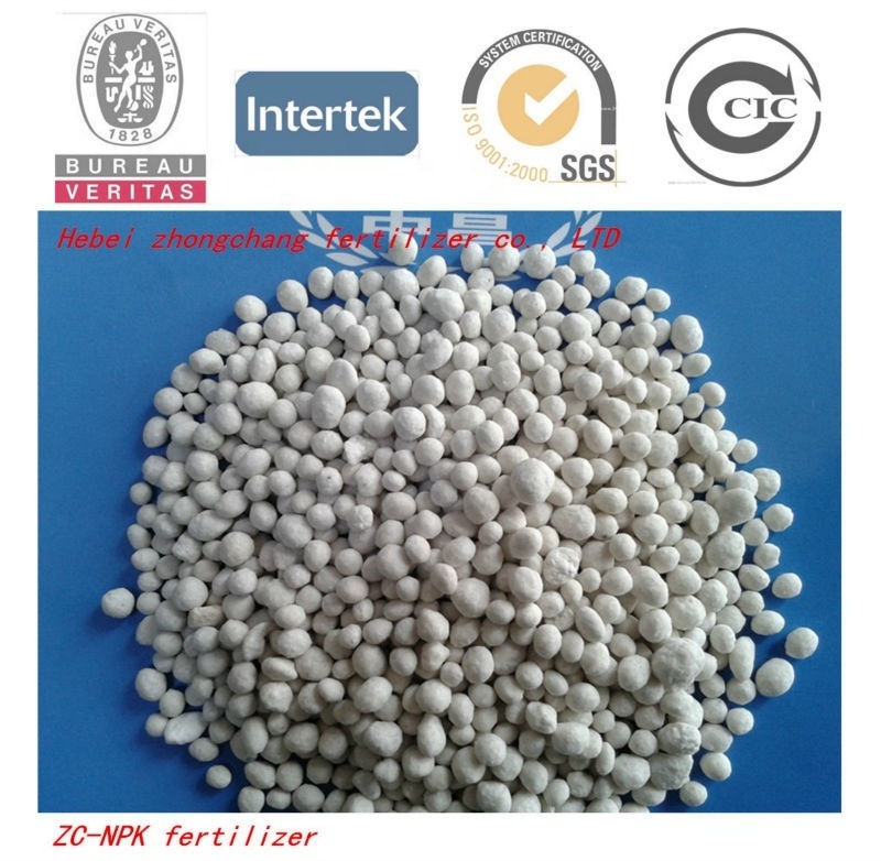 NPK 20 20 5 fertilizer factory offer NPK granular