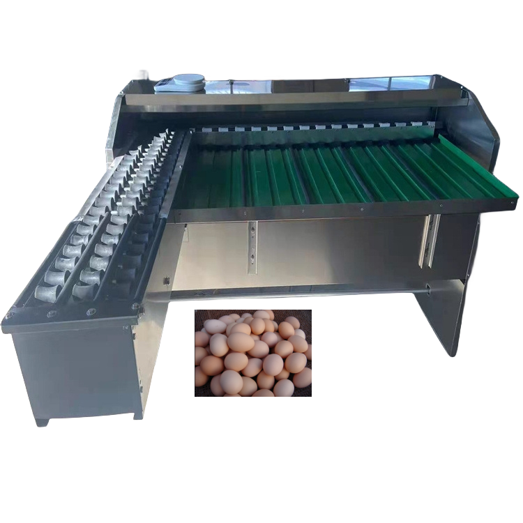 Automatic Stainless Steel Commercial Use Goose Duck Egg Sorting Machine/ Egg Packing Machine/Egg Weight Grader Machine