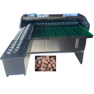 Automatic Stainless Steel Commercial Use Goose Duck Egg Sorting Machine/ Egg Packing Machine/Egg Weight Grader Machine