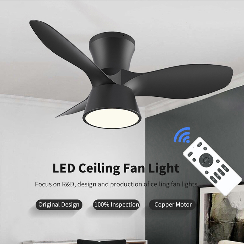 Modern Remote Control Home Indoor And Outdoor Balcony Black Lighting Led Light Outdoor Ceiling Fans