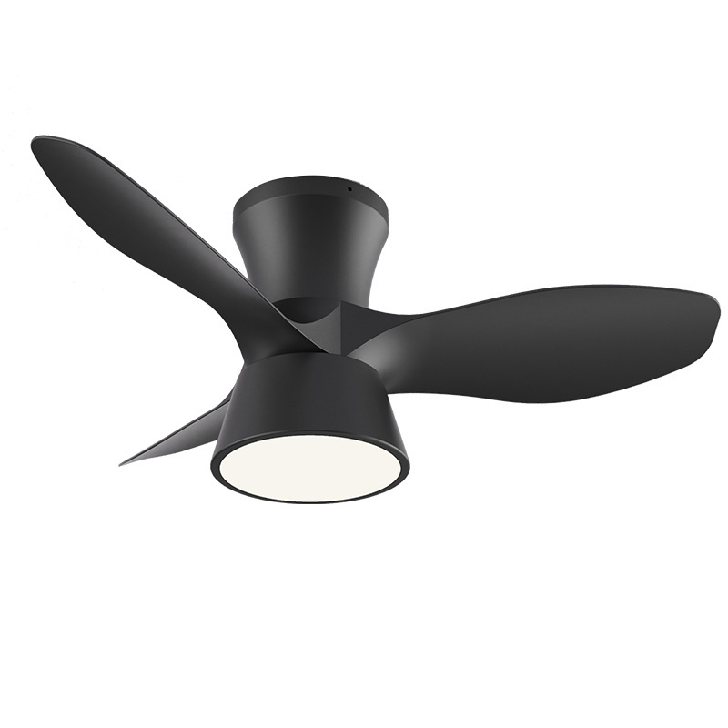 Modern Remote Control Home Indoor And Outdoor Balcony Black Lighting Led Light Outdoor Ceiling Fans