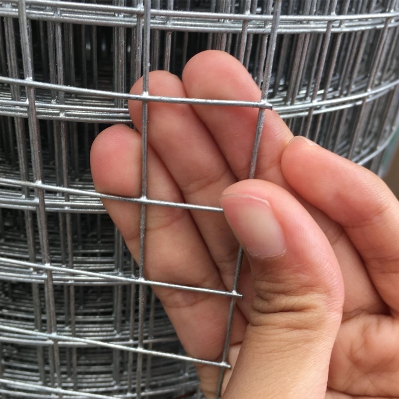 hot galvanized iron wire mesh fence roll 16 gauge 6x6 chicken pens galvanized welded wire mesh panels square