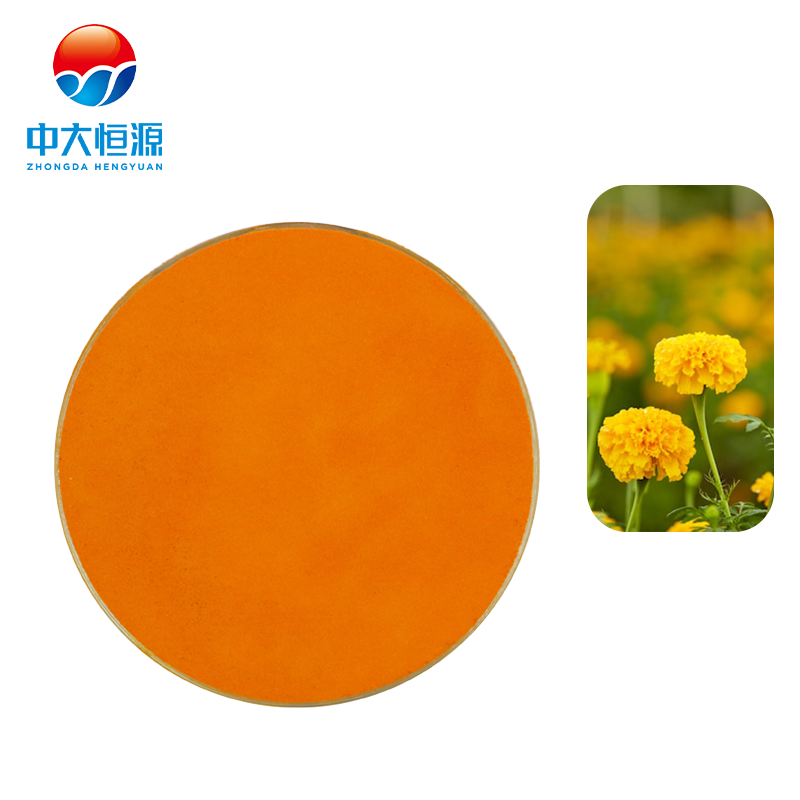 Natural Color Marigold Extract Xanthophyll Lutein Zeaxanthin Powder