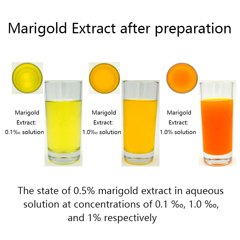 Natural Color Marigold Extract Xanthophyll Lutein Zeaxanthin Powder