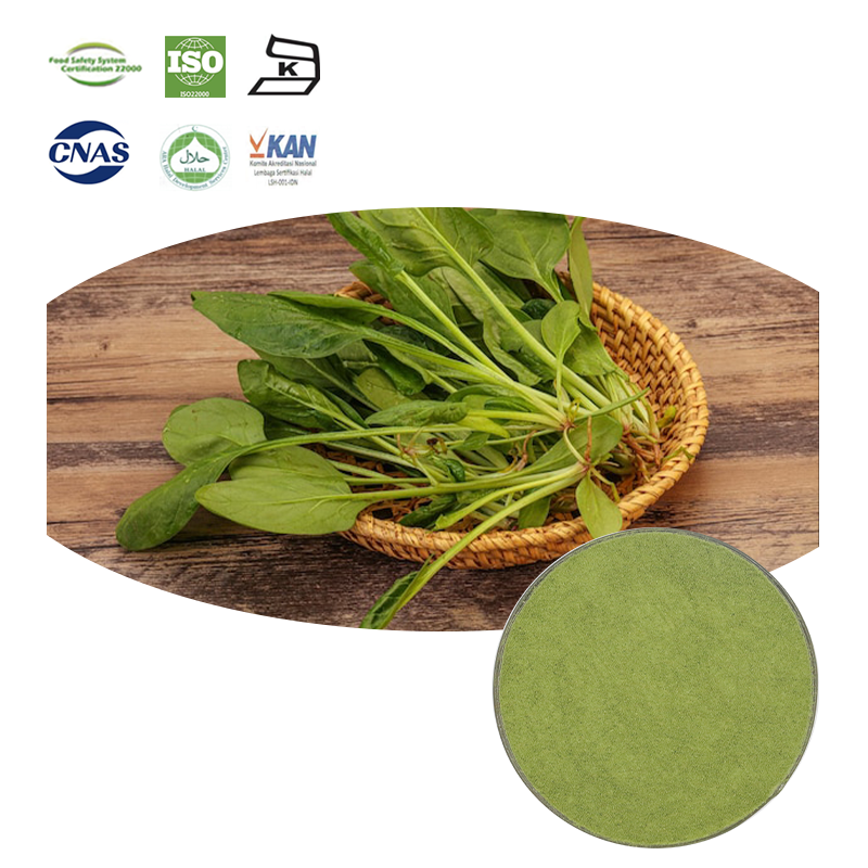 100% Pure Water Soluable Dehydrated Spinach Powder Vegetable Powder Spinach Powder