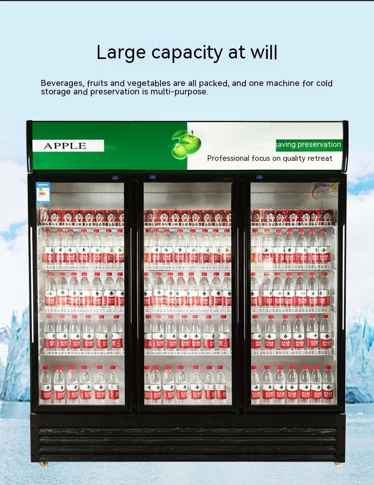 Commercial Vietnam supermarket freezer refrigeration equipment glass door side by side Pepsi display refrigerator