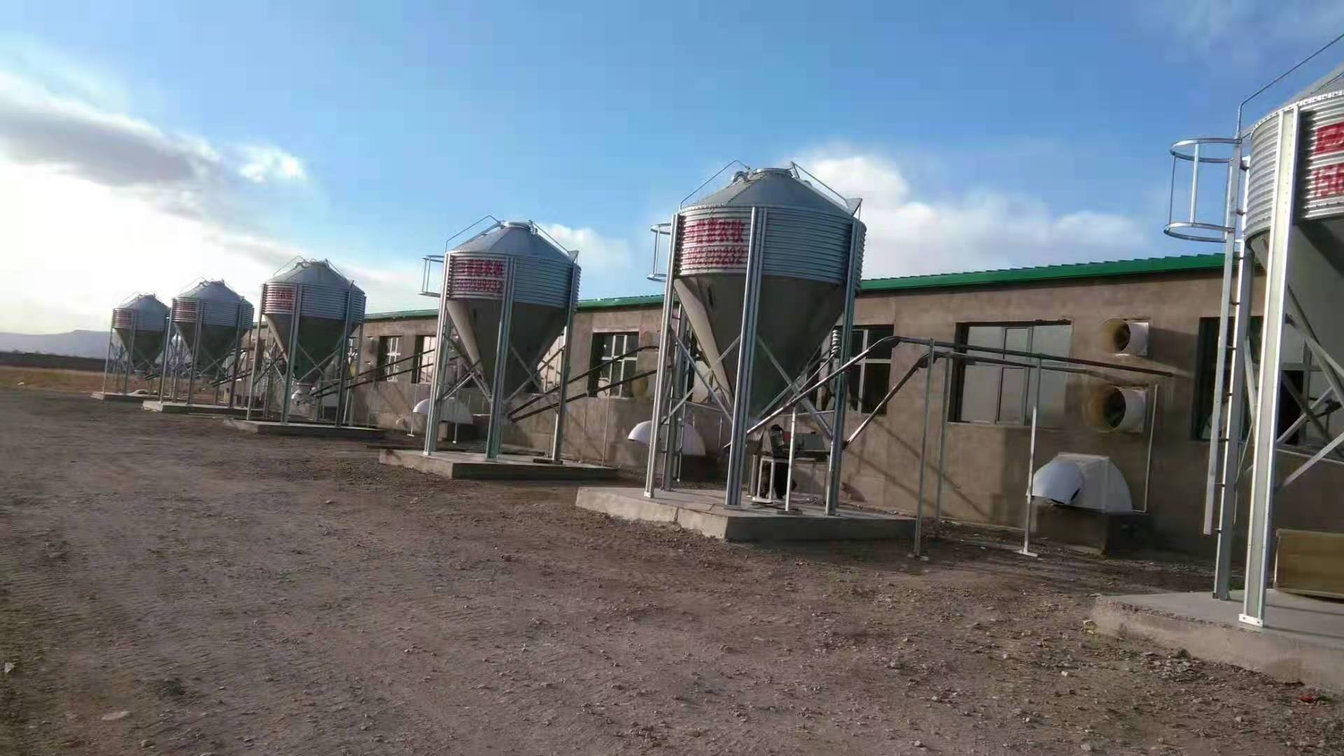 Silo For Chicken Feed Storage Bins Automatic Feeding System Product Poultry Farming Grain Silo