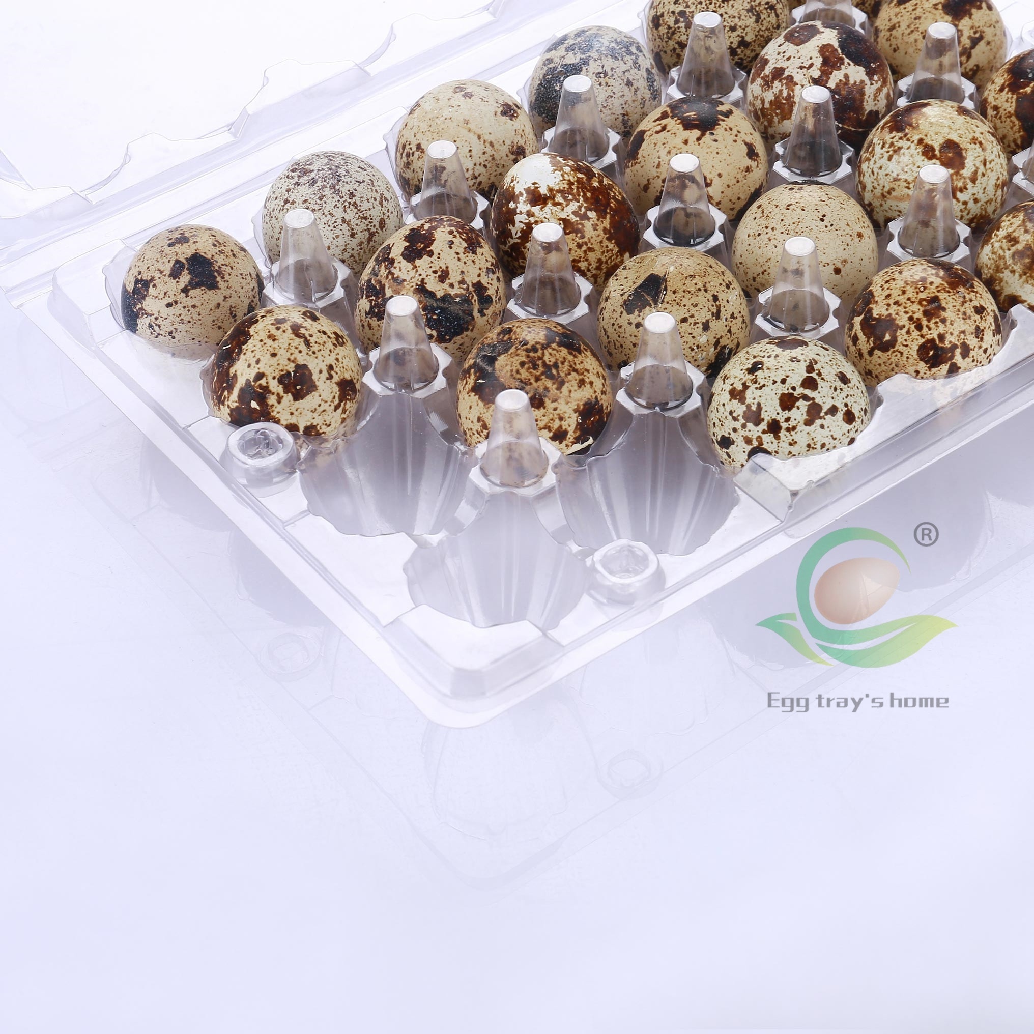 24  holes  plastic quail egg tray PET  quail egg cartons plastic Free Shipping